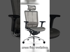 Ghế lưới toàn diện, ghế lưới ergonomic